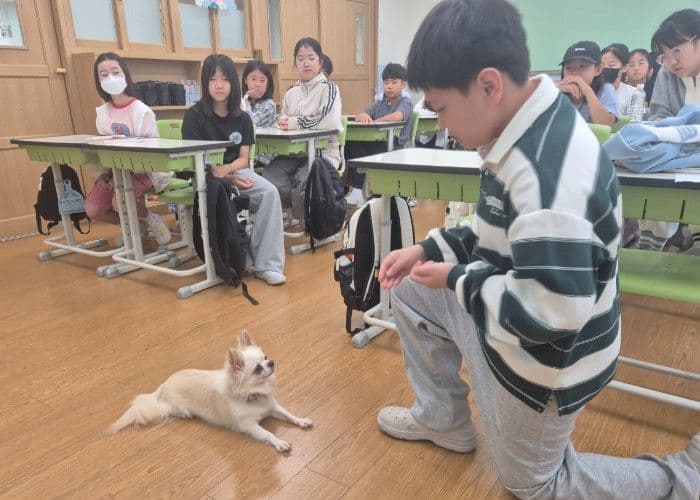 하남 신우초, 5·6학년 진로 직업인 특강…유튜버부터 쇼콜라티에까지 17개 직업 대표 이미지
